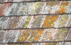 How to Remove Lichen on Roof Shingles?