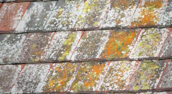 How to Remove Lichen on Roof Shingles?